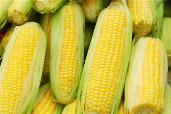 煮玉米是冷水下锅还是热水下锅 玉米怎么煮好吃