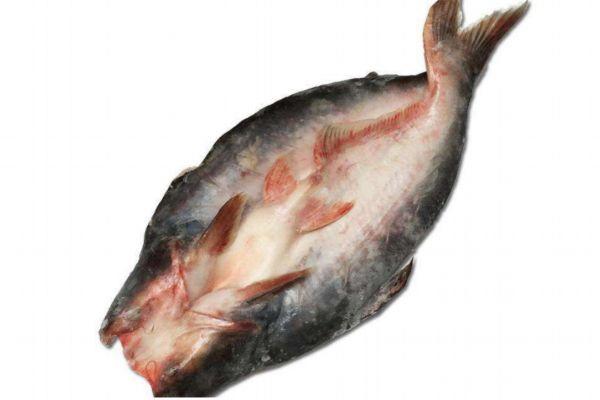 什么是龙利鱼呢 龙利鱼有什么营养价值呢