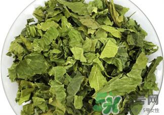 桑叶洗头的作用 桑叶洗头的功效