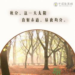 立秋是秋分吗?立秋和秋分的区别?