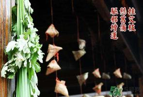 端午节为什么挂艾草?端午节挂艾草的由来