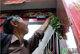 端午节为什么挂艾草？端午节挂艾草的由来