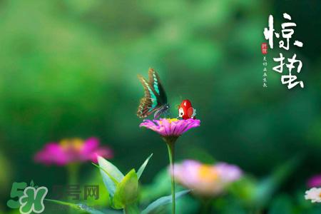 惊蛰吃什么食物好？惊蛰吃什么传统食物？