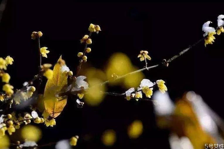 躲春可以开灯吗 2021年躲太岁的时间和方法