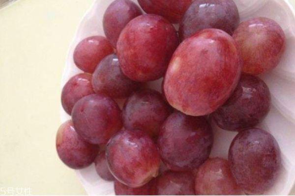 提子和葡萄的区别 提子和葡萄的共同之处