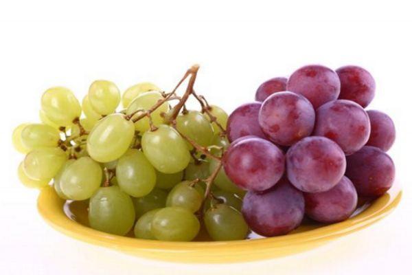 提子和葡萄的区别 提子和葡萄的共同之处