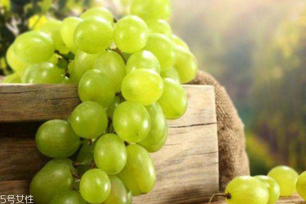 提子和葡萄的区别 提子和葡萄的共同之处