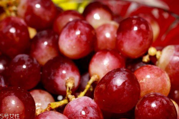 提子和葡萄的区别 提子和葡萄的共同之处