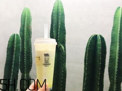 脏脏包哪里买？网红巧克力脏脏包店铺地址