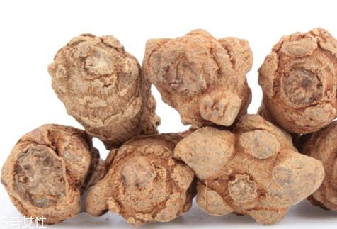 野三七长什么样子图片