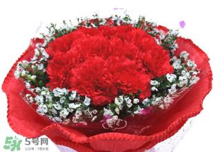 康乃馨多少钱一束2017？康乃馨多少钱一朵2017？