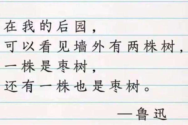 废话文学是什么意思网络用语 废话文学是什么时候火的