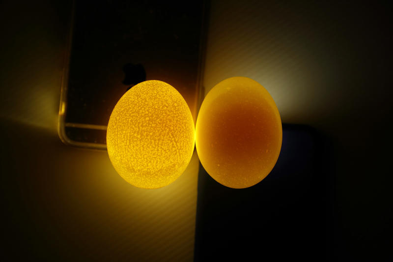 怎样辨别鸡蛋是否新鲜 6招就能判断