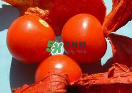姑娘果是什么果?姑娘果怎么吃