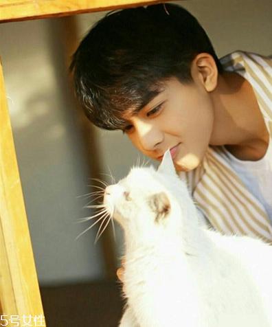 2022男生染什么颜色头发好看 2022男生染发流行颜色