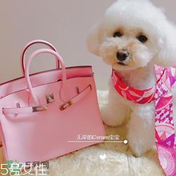 hermes birkin怎么看真假？爱马仕铂金包真假鉴别