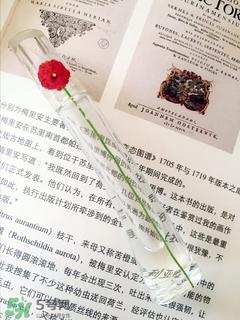 kenzo香水一枝花多少钱?kenzo一枝花香水怎么样价格