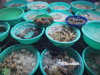 越南芽庄好玩吗 越南芽庄旅游攻略