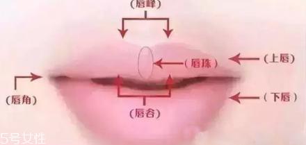 唇珠是什么 玻尿酸丰唇珠效果好吗