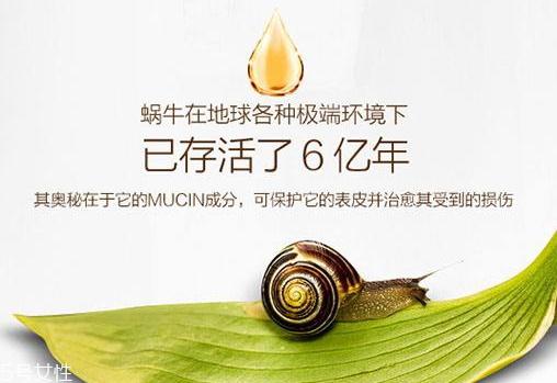 蜗牛原液护肤品好不好
