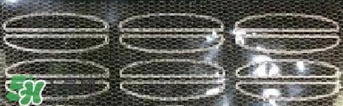 双眼皮贴的正确贴法 双眼皮贴怎么贴