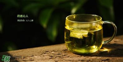 荷叶减肥茶配方 荷叶减肥茶效果