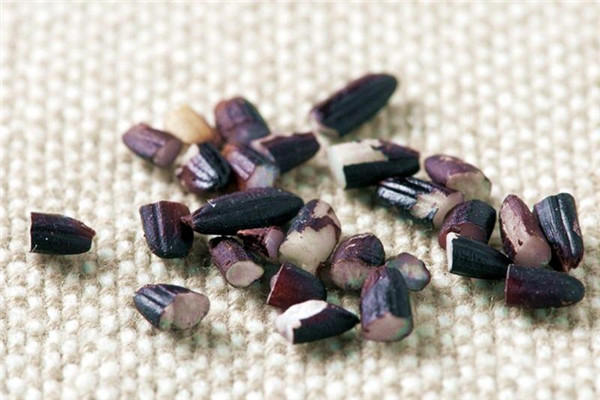 立冬进补吃什么最好最养生