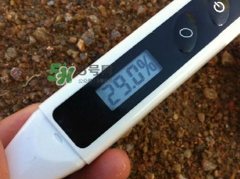 玫琳凯双天后是什么？玫琳凯双天后怎么样