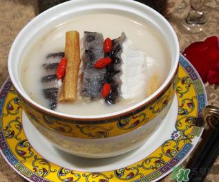 娃娃鱼的营养价值 娃娃鱼的功效与作用