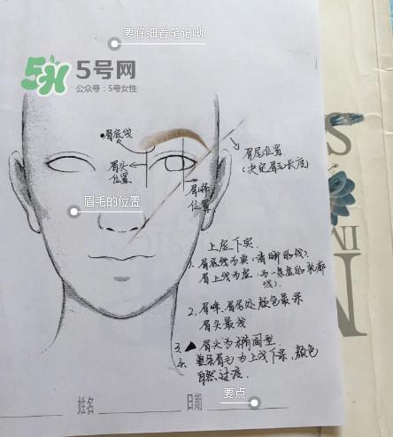 画眉毛的技巧图解 快速画眉毛简单的步骤