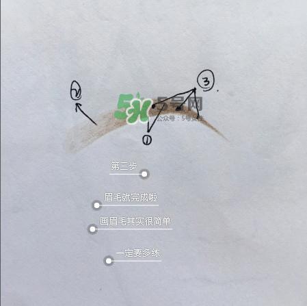 画眉毛的技巧图解 快速画眉毛简单的步骤