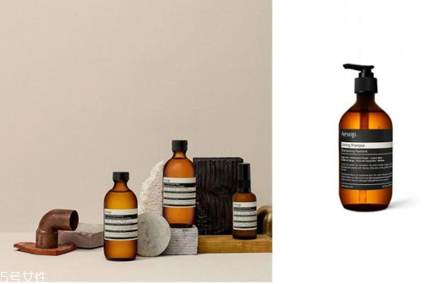 头发油掉发用什么洗发水 推荐5款油头洗发水