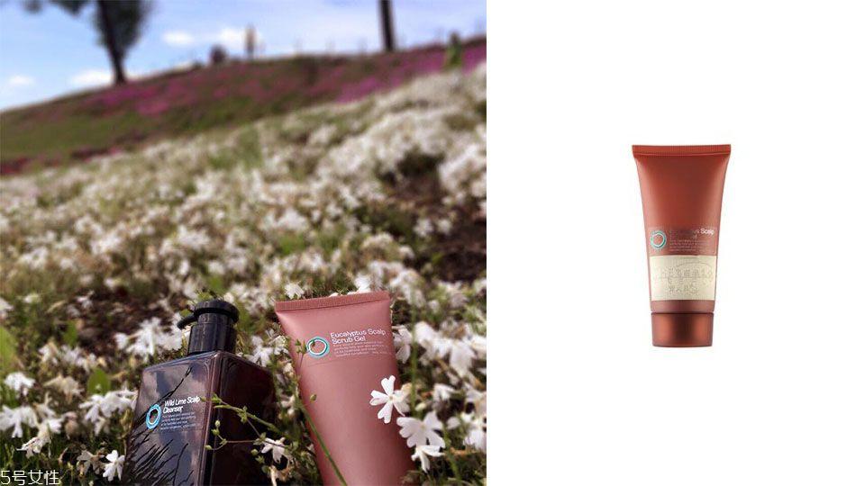 头发油掉发用什么洗发水 推荐5款油头洗发水