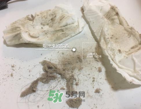 除螨仪真的能除螨吗?除螨仪到底有没有用?