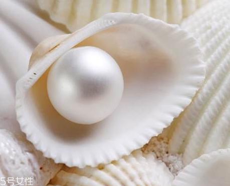 珍珠粉在哪里可以买到 哪里买正宗的