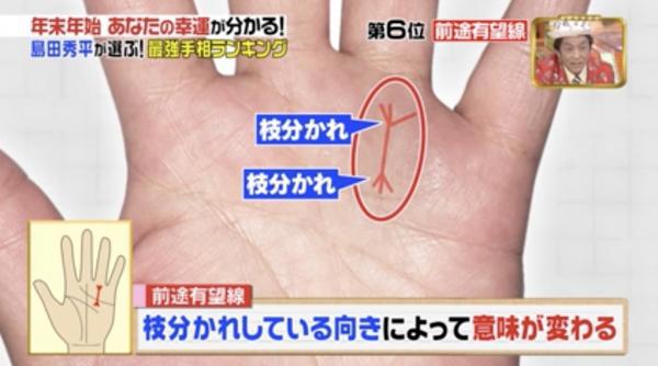 所罗门之星手相图解 日本手相图解大全