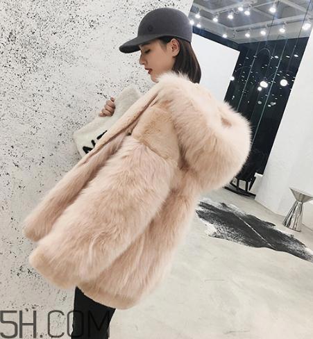 獭兔毛和兔毛哪个好?獭兔毛和兔毛的区别