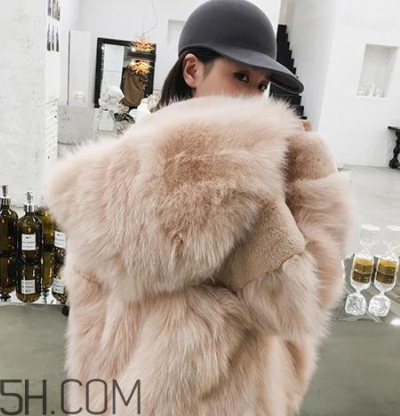 獭兔毛和兔毛哪个好?獭兔毛和兔毛的区别