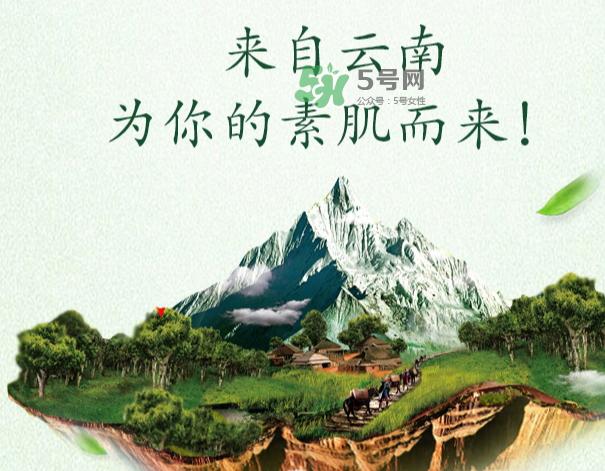 采之汲是什么牌子?采之汲是什么档次?