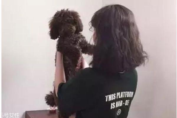 齐肩短发烫什么卷好看 齐肩发这样弄最好看