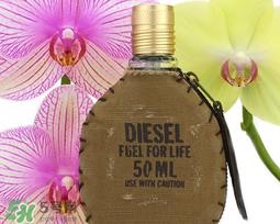 diesel迪塞尔是什么牌子?diesel是哪个国家的?