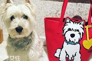 marc tetro是什么牌子?美国高性价比包包品牌