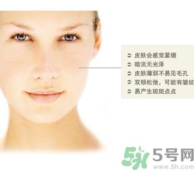 干性皮肤用什么洗面奶？干性皮肤该怎么保养？