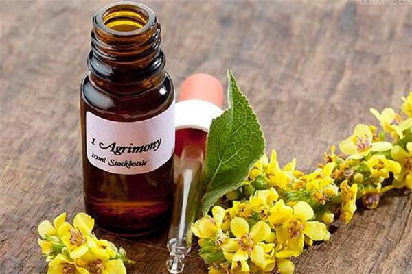 单方精油怎么调配 单方精油用什么基础油