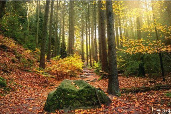 男人冲你发火代表什么 一个男人明确说不爱你