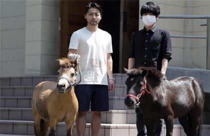 日剧男主每集都在做7天 大尺度内容让人震撼