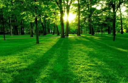 2021年必定生男孩的月份，九个最准怀男孩征兆你都知道吗？