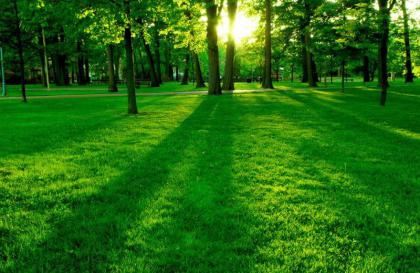 10秒测出怀男孩和女孩，准确率100的生男生女公式快来get