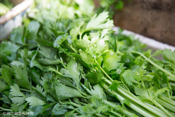 荔枝是热性还是凉性 荔枝的功效与作用大盘点