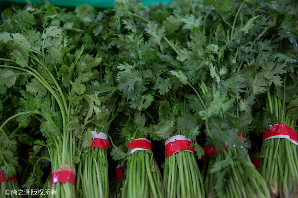 农村偏方治吃了会怀孕 2个小偏方让你快速怀孕